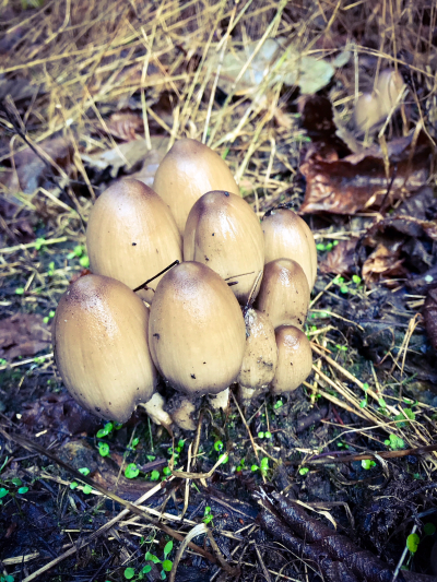 58445695-1561-45D0-B8E9-AD7E6141B723