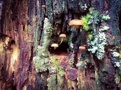 37814C38-CB17-4D23-8A2F-6B8F810B3AE7