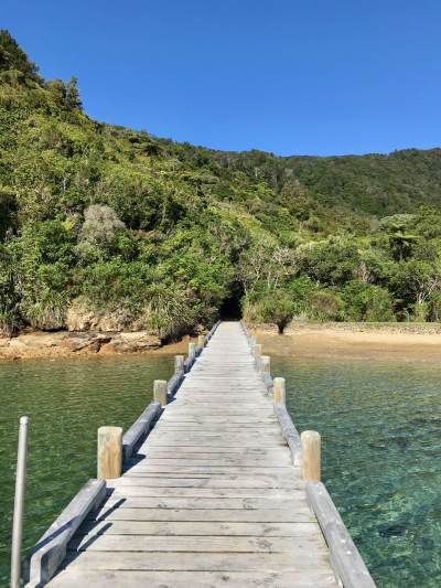 674EE1F0-815B-4A13-B691-AF979535B195 674EE1F0-815B-4A13-B691-AF979535B195