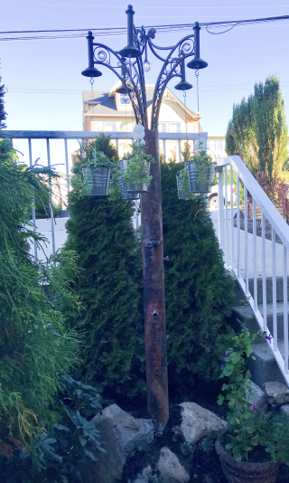 FB921A9C-EB96-4EB4-9CAC-2182C274E1F6 FB921A9C-EB96-4EB4-9CAC-2182C274E1F6