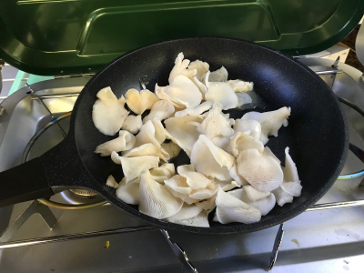 5B70C129-3256-4FFA-888C-D8D6540E3984