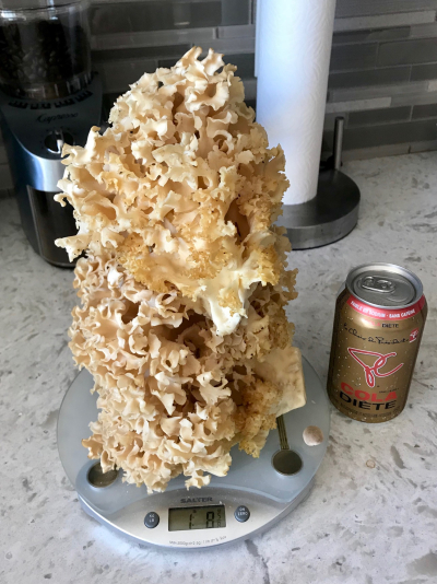 4F11082F-9C47-4BD6-B6D0-672CFEC06E2E