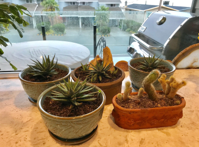 86260183-6C44-45B8-8EE8-E8775651E05D