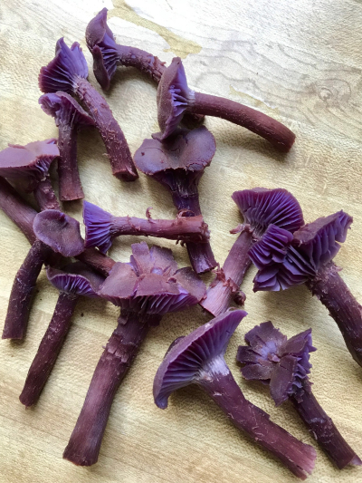 1E3B6889-07B9-44A7-AE1E-69B3E98EC47A