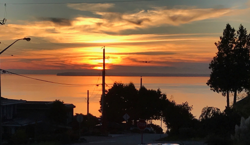 A78CE09D-1538-4D04-BEBE-D97F66F83AFD