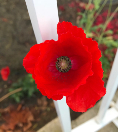 D6844DFD-CD05-4D70-B641-E595F2CD1A44