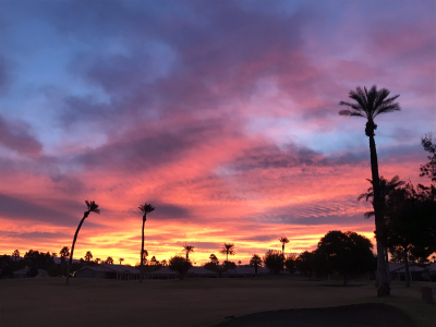 F240FD5E-A127-4621-9B95-C42FF7B56A62