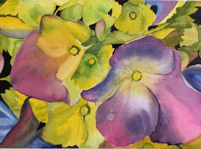 3FB35D2D-7E6B-4808-B824-F675B634815B