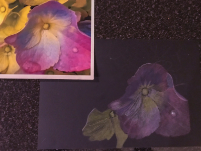 6C7CB53C-8988-49AD-A9B8-AACEBD7358BA