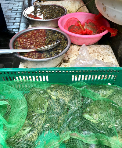 E5CA4C9E-9FBE-4071-AD95-690D722656C4 E5CA4C9E-9FBE-4071-AD95-690D722656C4