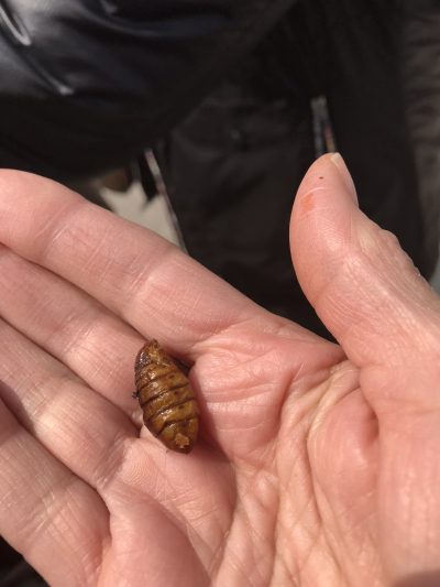 FB8ADBD8-D804-41DB-8FA4-FC0493E96F5E FB8ADBD8-D804-41DB-8FA4-FC0493E96F5E