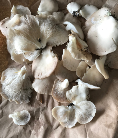 E00C7D84-A17E-4762-9BEB-E790A94C0A0F