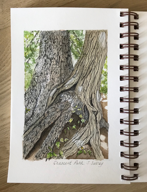 C10509E1-5A00-45EF-9EE4-135D3F296D44