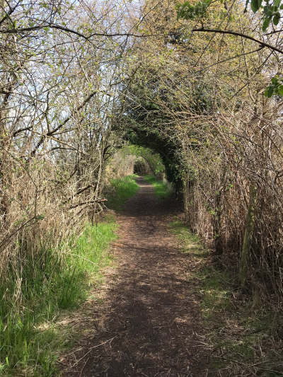 F357CB91-CD2D-4BBD-9702-813745A5A680