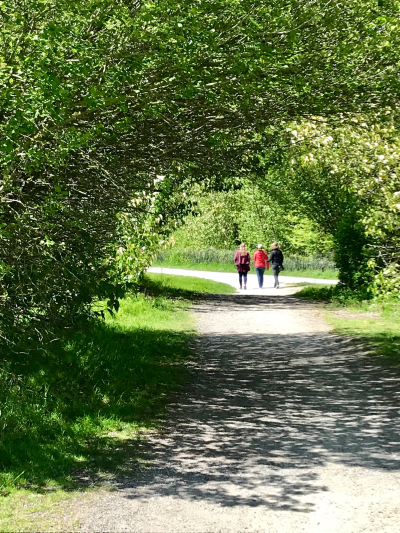 EF383B57-19A6-448F-B4E5-8E559D83EB2A