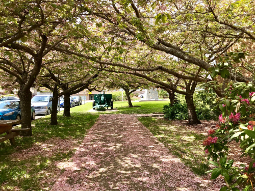 2690FD2D-0539-4840-BDD3-A2E531CF82BA