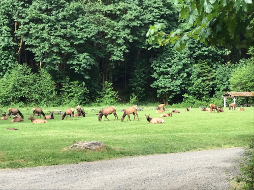 9A2DE5AB-571B-413A-BB4A-DAFE5570E5B6 9A2DE5AB-571B-413A-BB4A-DAFE5570E5B6