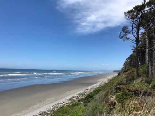 D44C8950-3D29-40F4-9EA3-58B10D5B6582 D44C8950-3D29-40F4-9EA3-58B10D5B6582