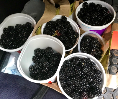 36284CB9-BBA8-4760-A35B-F16127C68E6E 36284CB9-BBA8-4760-A35B-F16127C68E6E