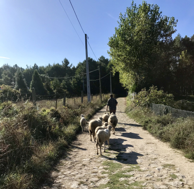 A6E9CCEA-61A3-416E-9D51-9CCBB2C5455F