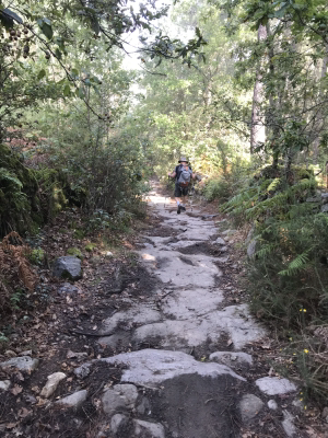 251E94D8-35FD-4878-9990-864B16205520