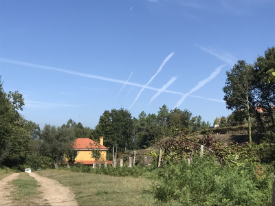 1DBD1C7F-FCBA-46C3-B61E-EAB17543BA10