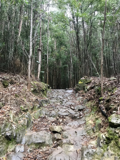 CDFA9E98-C35C-4884-A315-9BA249086E5E