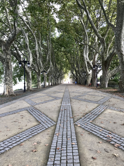 0D8B84B6-055C-40CB-952E-A503521B7EEF