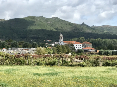 397C71BD-B829-43EC-82E5-8AE5EFB69B80