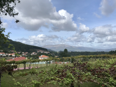 4000F57F-1885-4E7B-9A58-3DA27FA142B0