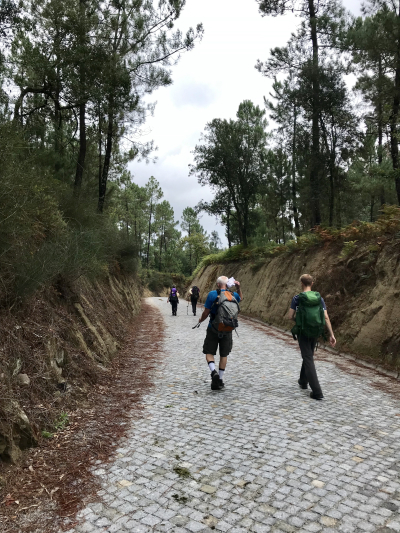 72F309DF-7E1E-4578-AF25-7DFADF6EDE1C