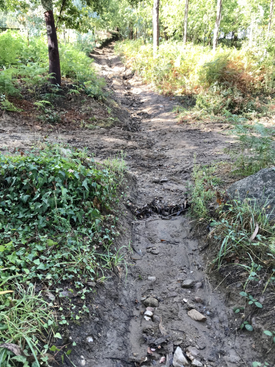 EC57B03E-4399-48FE-8833-DC7EAA153AB4