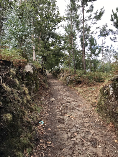 35005E1C-3083-4FBC-96FD-156F280D3190