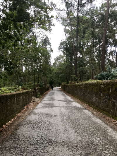 E2B2C0ED-DE67-423C-BF03-54AFB9115F44