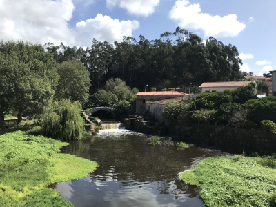 18E08EA6-F7EF-490C-AFAA-2A0E0DAD224B