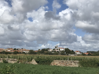 3EC33A60-8DD3-4505-A1B3-A08CBC58129D