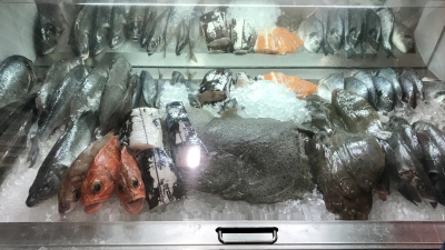 83751670-2934-4180-A474-826D65D42A15