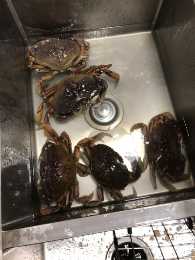 07BE9988-223A-44AD-ACE3-7364EA85AC71