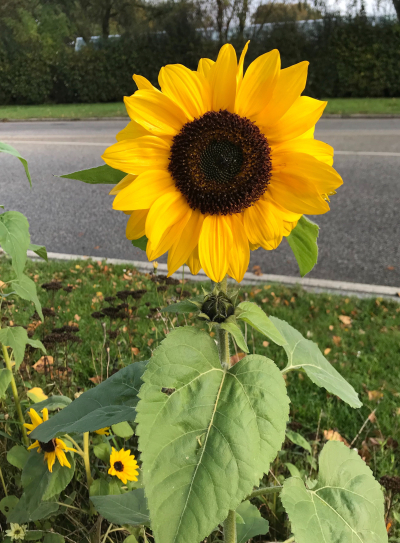 89B0B8B4-C36A-473B-BA5E-0B923EB171F2