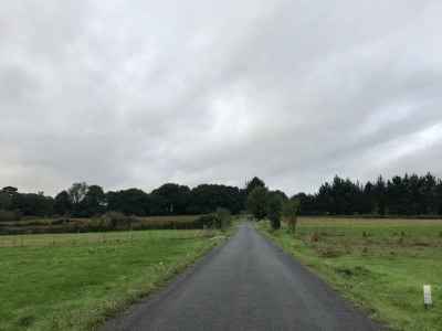 6F55CDA0-74A4-4E1A-8D05-41864E5D5024