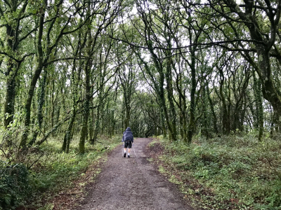 D2674AEF-1973-402E-A97A-EE5548D11252