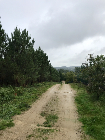 3E48C37B-079B-4617-B4DD-2B331E7CC8C2