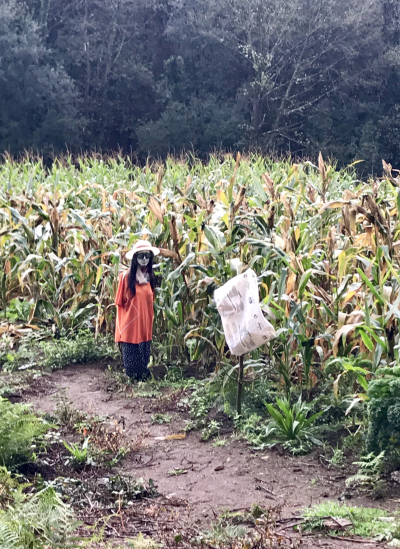 45F9774C-8BD7-474A-AF2F-625B868C18A0