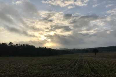 D1D511B8-EF85-462A-BF7A-33BC8F5F58B8