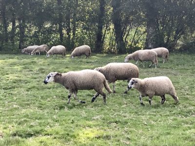 2EA7C863-604D-46DE-BD91-82C040089061