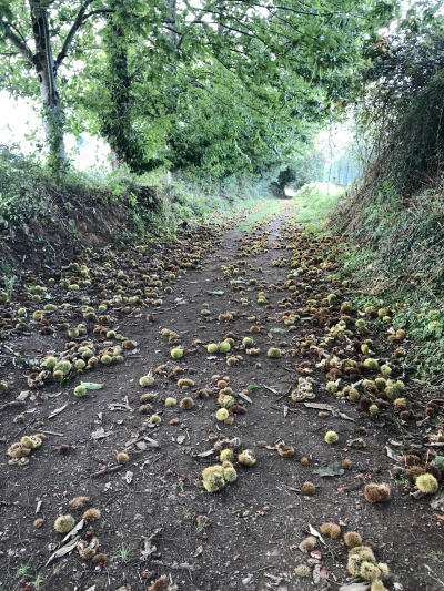 733EA46F-562D-4DD2-837E-E47C12700B3F