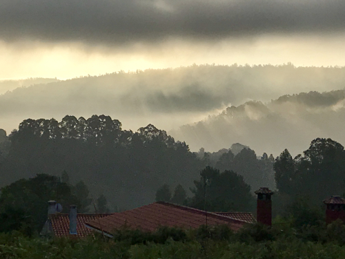 6292FE7C-9125-4709-BBE1-627D85CB5BE4