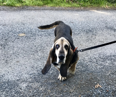 76220EA5-9D4A-4721-82B5-AE941B449376