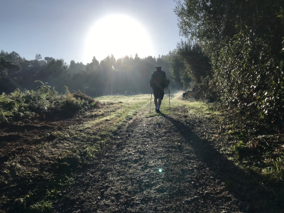 5E7A829B-99DF-4DD4-9579-EE834F9F4561 5E7A829B-99DF-4DD4-9579-EE834F9F4561