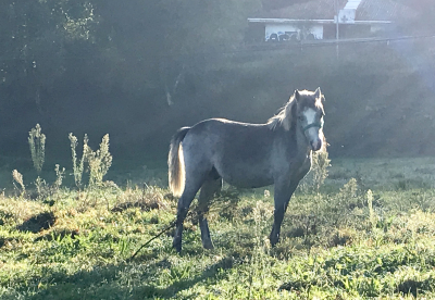 0014A8C7-064B-473B-A930-AE6EBF9B37A9 0014A8C7-064B-473B-A930-AE6EBF9B37A9